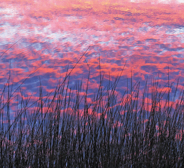 Sunrise in the water